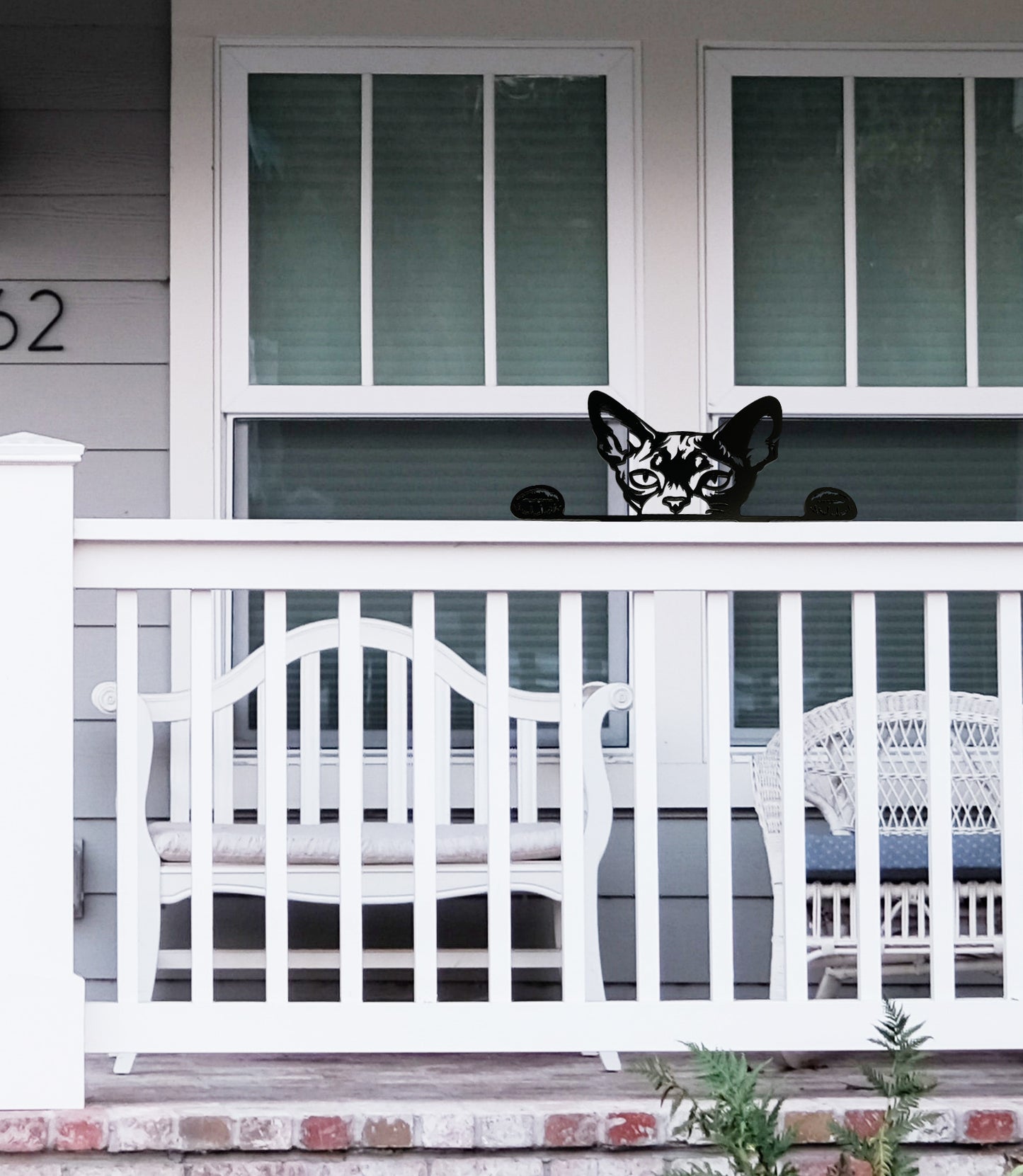 Peekaboo Peterbald - Peekaboo No.3