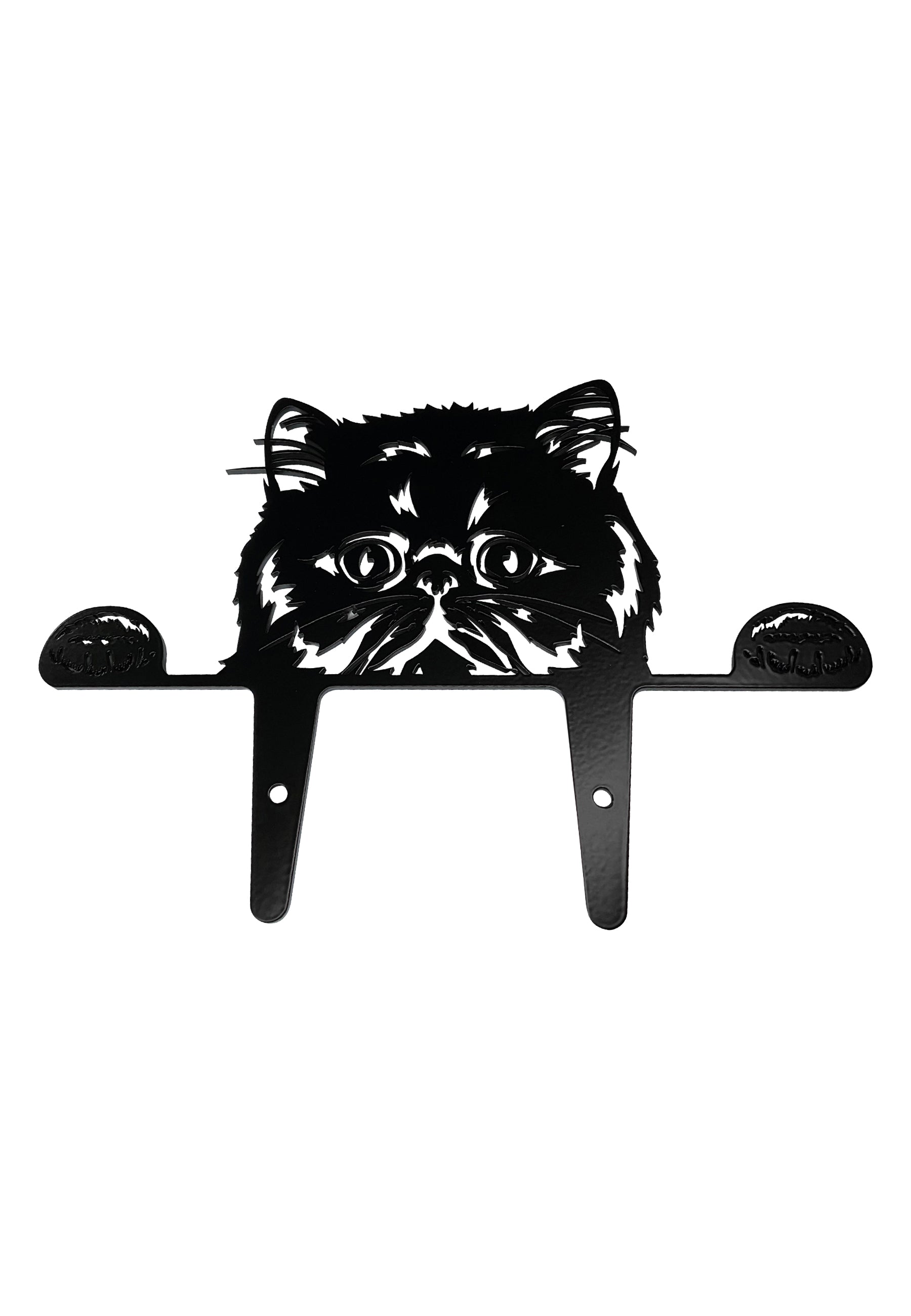 Peekaboo Persian -Peekaboo – Metal Cats - Main Image